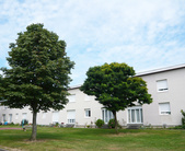Buxerolles